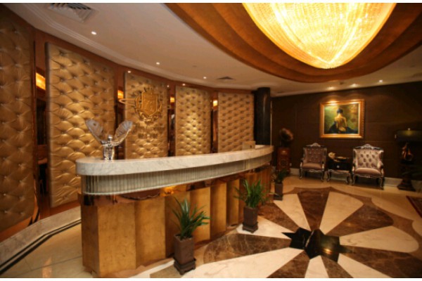 古树茶香，品茗时光，慢生活必备